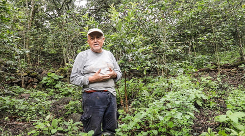 May Roasters Choice - Exquisite Ecuadorian Greatness
