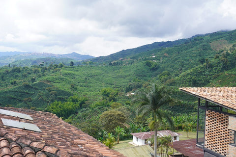 August Roasters Choice - Mad Science from Anserma