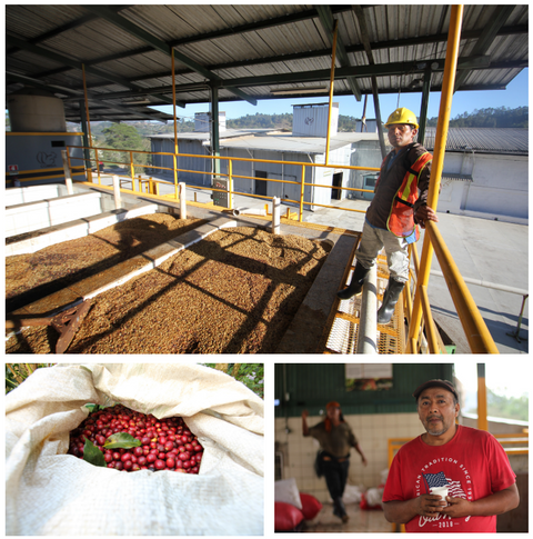 Waffle Wizard - Honduras COMSA