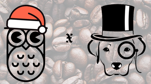 Chipp Coffee Co x Dog & Hat 2025