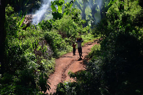 March Roasters Choice - A Journey to the Birthplace of Coffee.