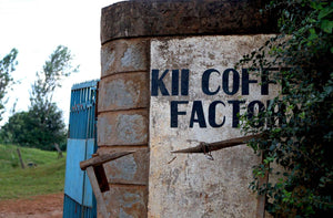 September Roasters Choice - The Kii To True Happiness