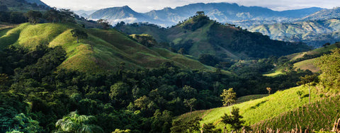 May Roasters Choice - a BERRY NICE Papua New Guinea