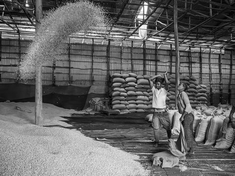 Roasters Choice March 2026 - Women's Month