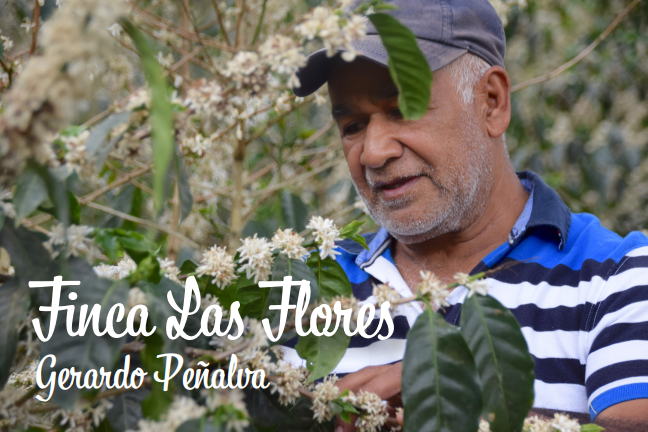 Honduras - Finca Las Flores