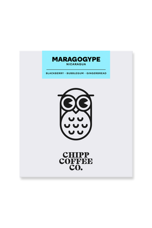 Nicaragua Maragogype - Natural - Chipp Coffee Co